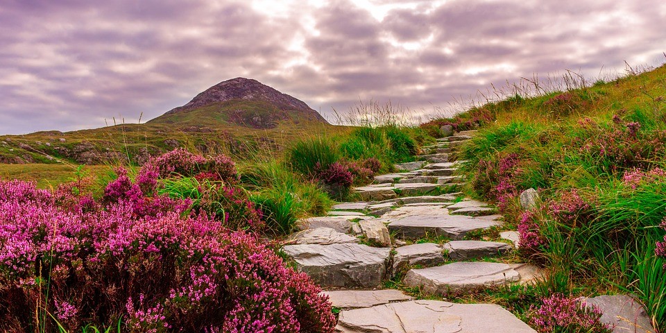 Explore Ireland