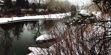 Explore Calgary
