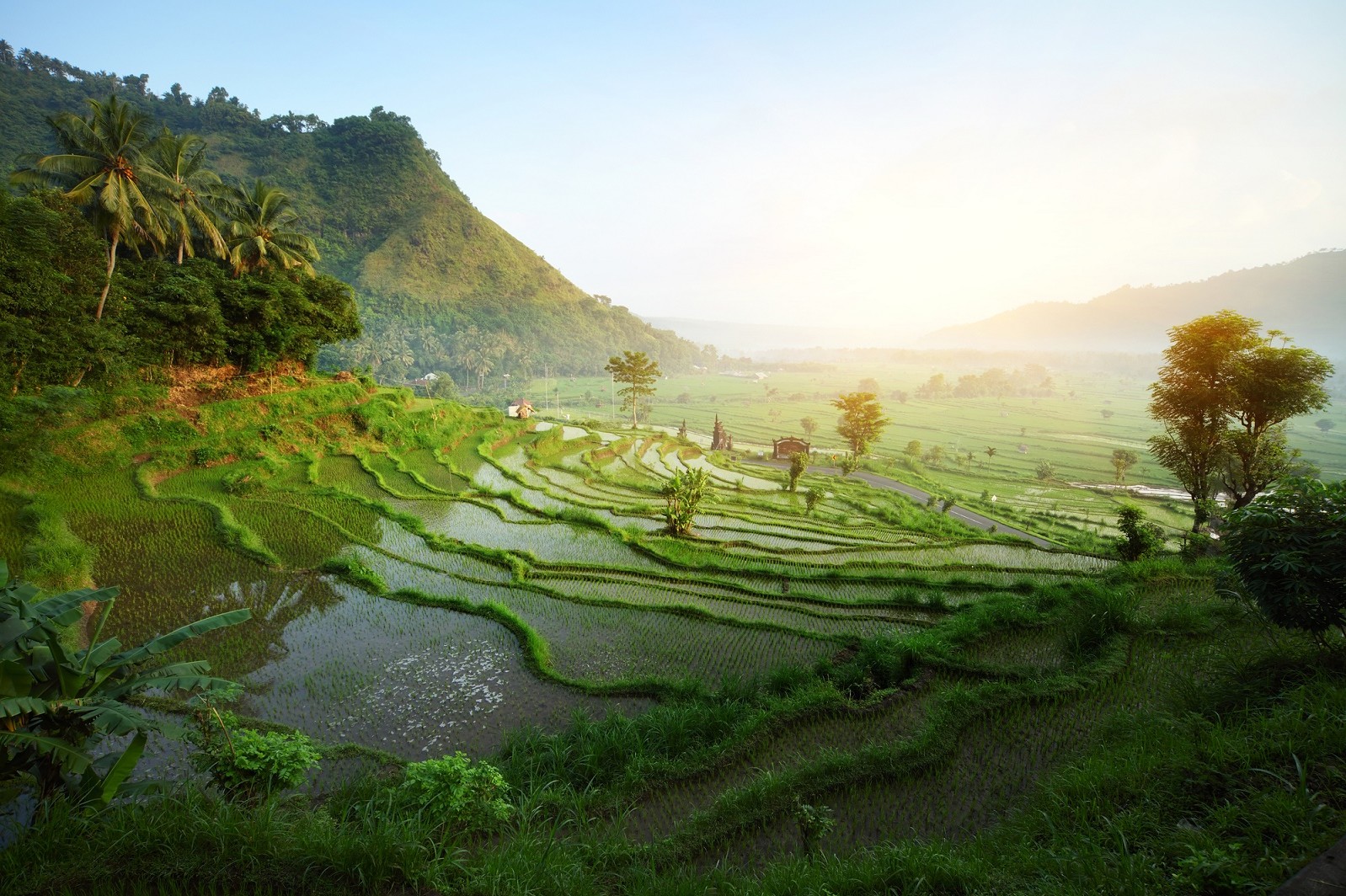Bali